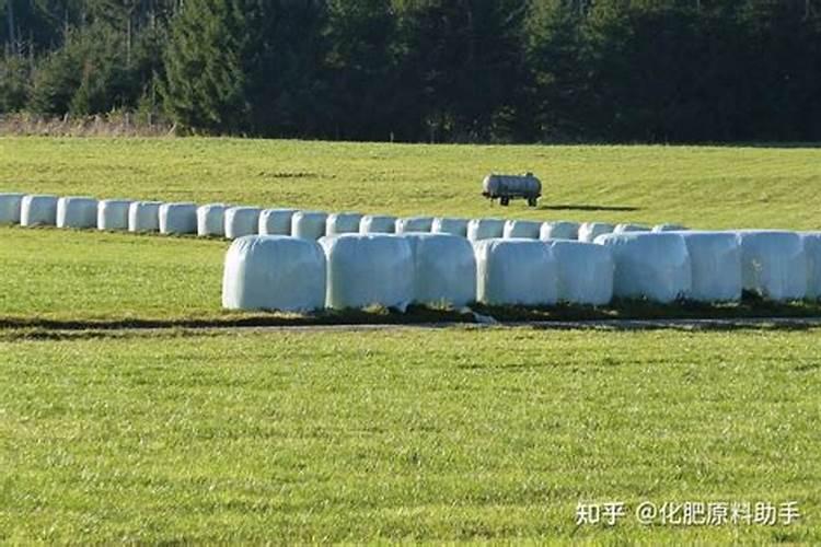 尿素是硝态氮肥吗？