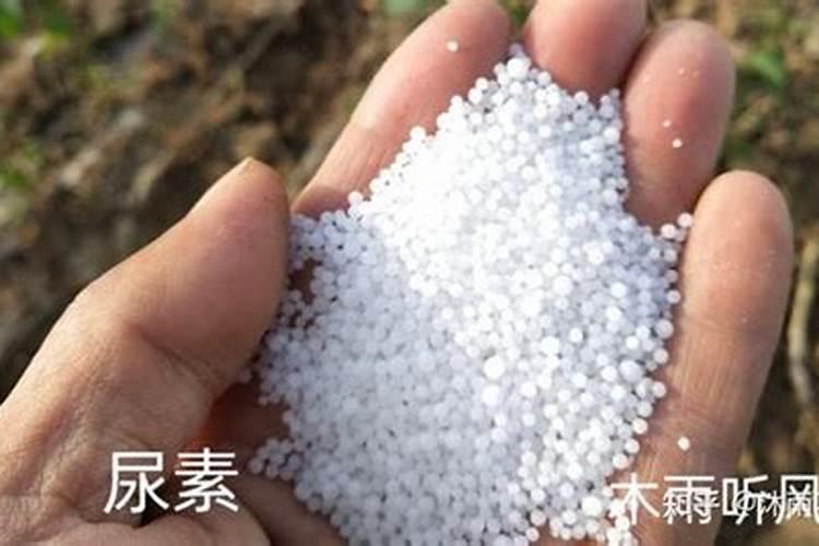 肥料尿素的作用与功效 肥料尿素有什么作用
