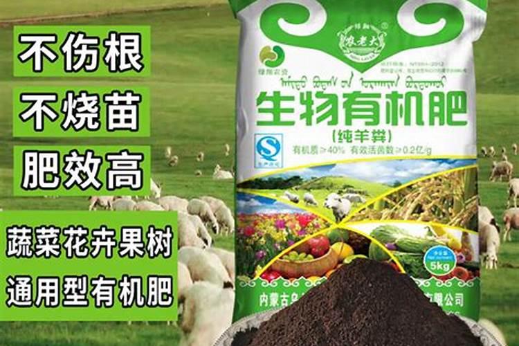 有机肥中含菌5亿,有机质60,应执行哪个标准