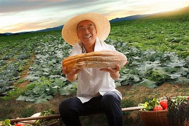 刁民老田头 阅读答案