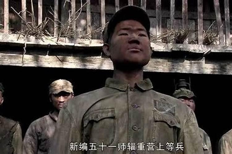 豆饼肥属于氮肥还是磷钾肥