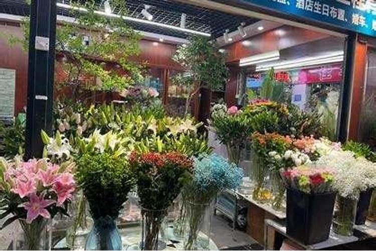 格桑花要施肥吗