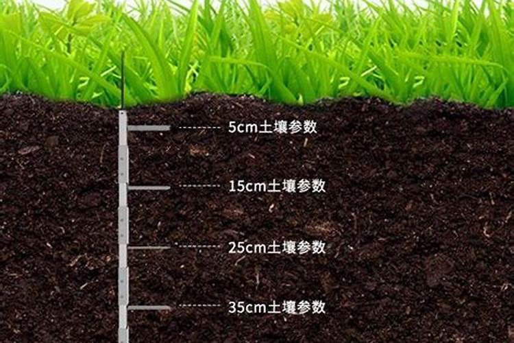 请问土壤检测方法有哪些？求哪位解答下这个话题