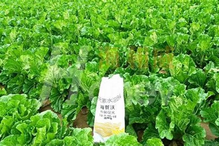 种植黄瓜使用喜满地水溶肥可以吗？