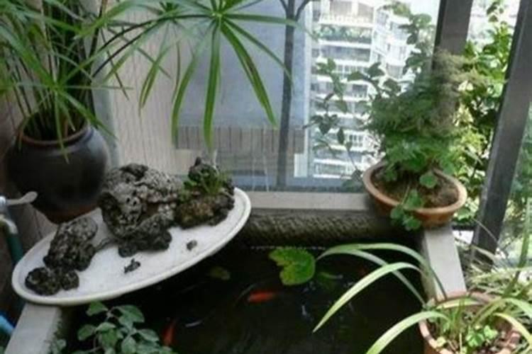 绿植施肥用什么肥料最好 给绿植施4种肥长得好