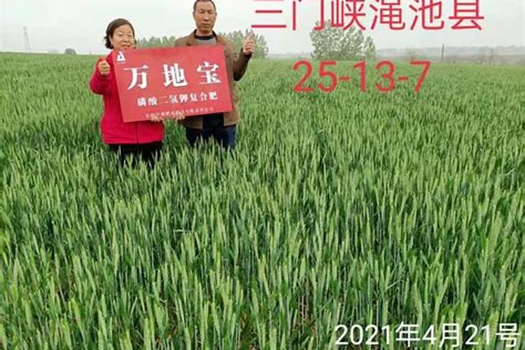 大棚葡萄冬季栽培与管理方法