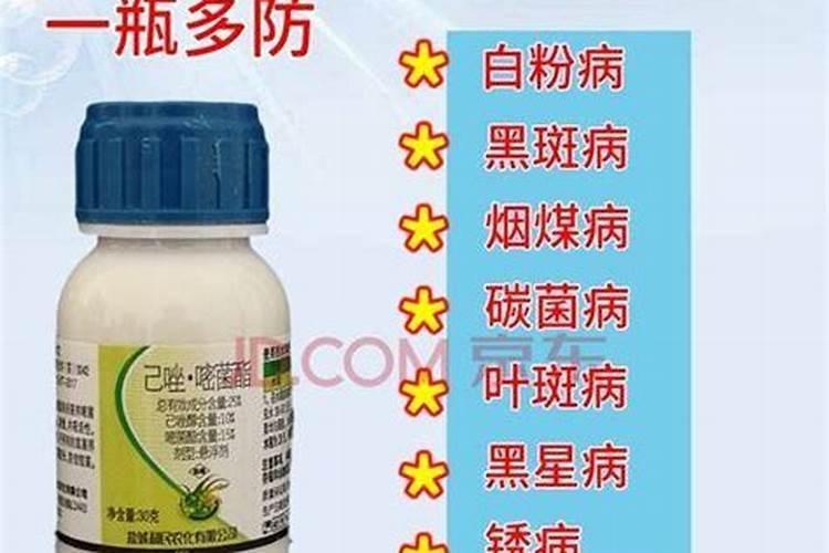 魔芋软腐病用什么药最好
