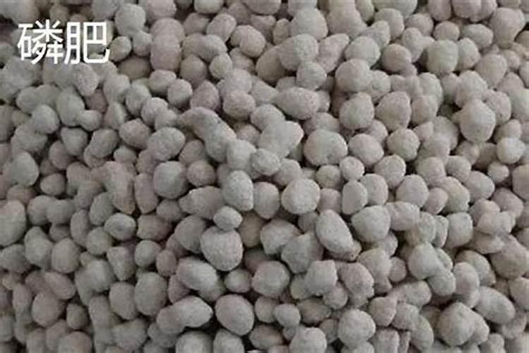 磷肥最高含磷量是多少
