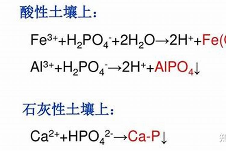 p2o5是什么元素