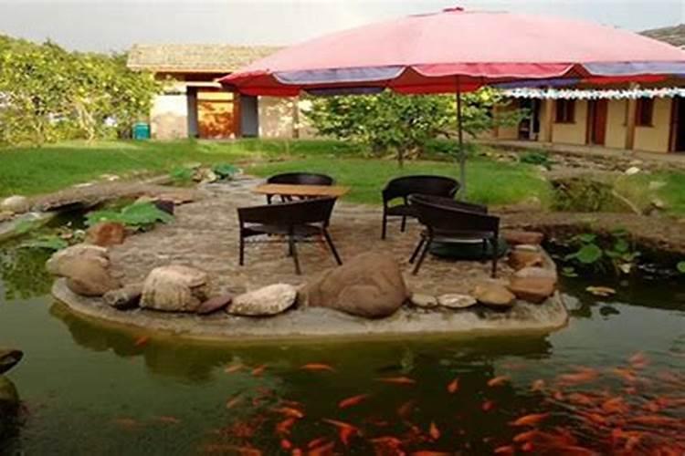 金正大16834水溶肥哪里有卖的