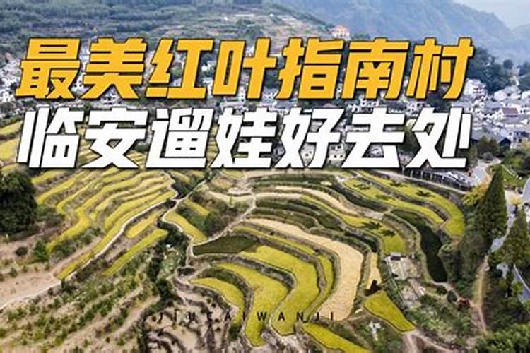 欧力达农业水溶肥怎么样