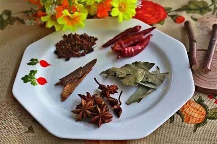 八角茴香能盆栽吗？