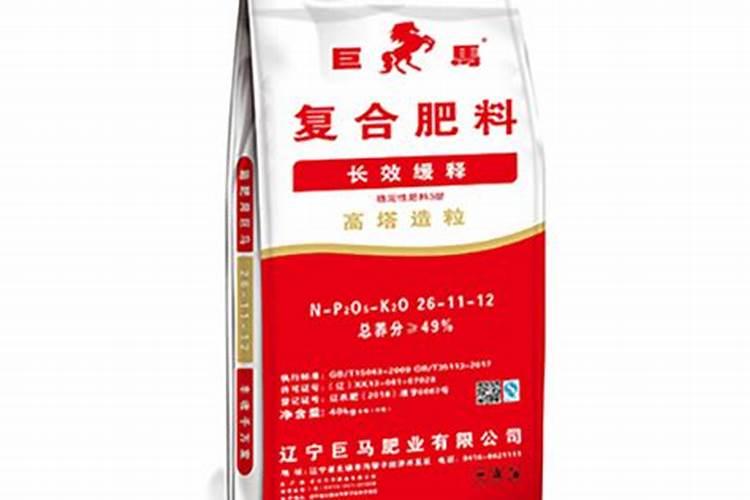 黄蝉花图片