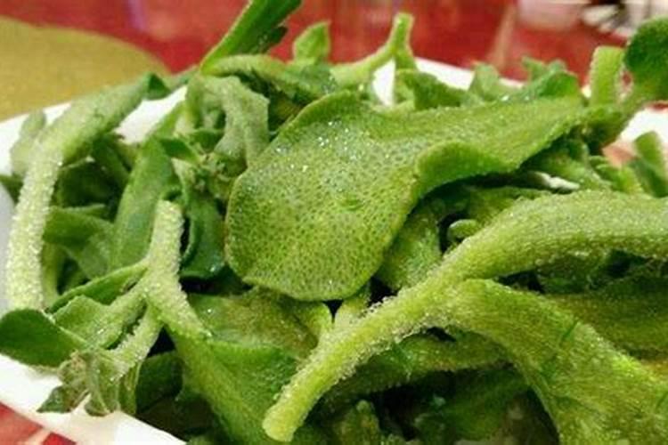 冰草怎么种植时间