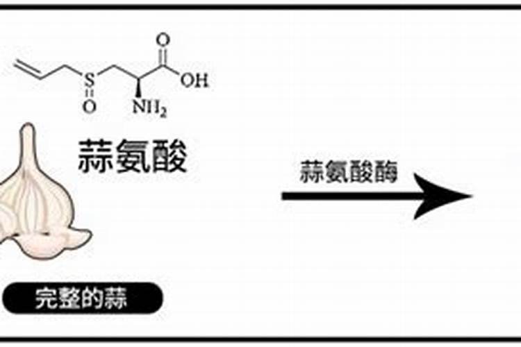 巴斯夫望秋氨基酸功能