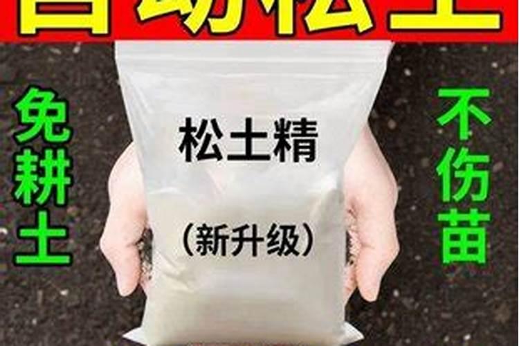 松土施肥的步骤
