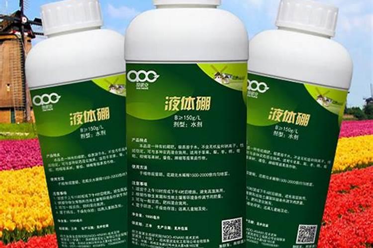 硼肥不能和什么一起用？如果使用错误会产生哪些影响？