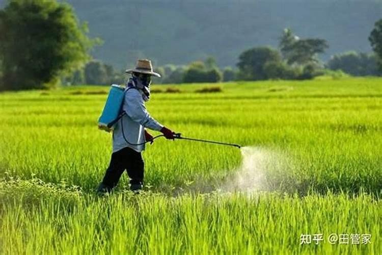 有不适合摆放在室内的绿植么？