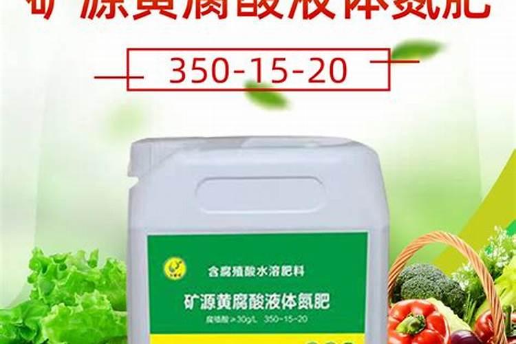 荔枝树适合什么地方种
