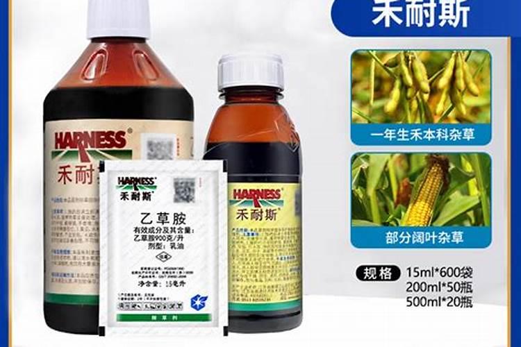 花生幼苗受药害卷叶能不能救活？