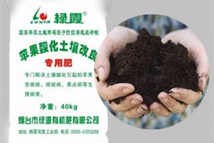 大棚蔬菜的主要肥害、药害、及解决办法