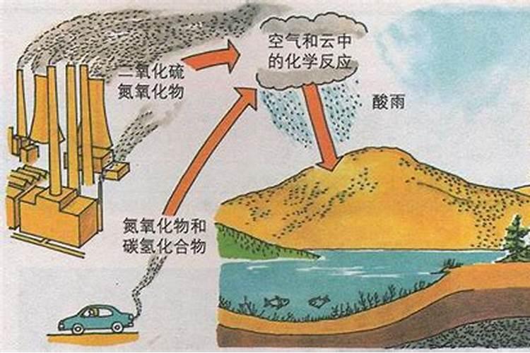 以下是对硝酸型酸雨的若干项评价,其中正确的是( )①杀死水中的浮游生物...