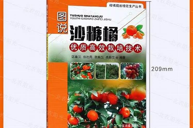 砂糖橘如何施肥 分享种植砂糖橘施肥技术经验