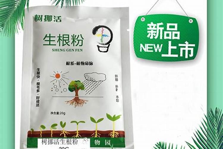 生根粉怎么用效果最佳 生根粉的用法