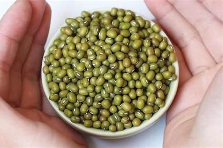 绿豆底肥放什么肥好(底肥施用方法)