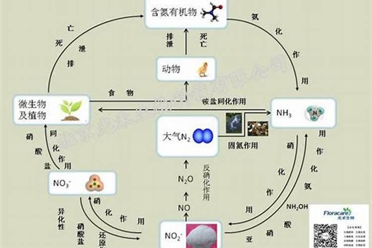 什么品牌的土壤养分测试仪比较好？这些功能最重要…