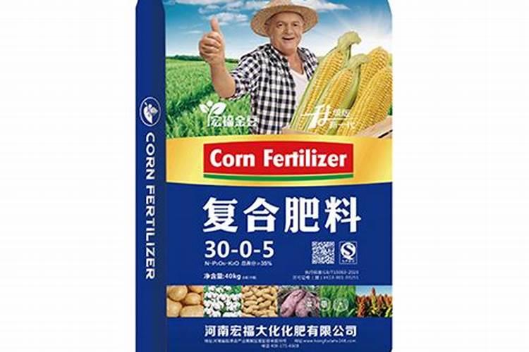 金豆怎么养？怎么才能让金豆多结果？