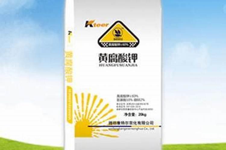 什么时候给果树上黄腐酸钾 作用是什么