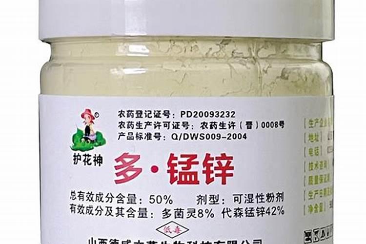 越夏菠菜种植时需克服哪些问题 菠菜应该怎么种植