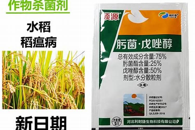 水稻用什么肥料好？