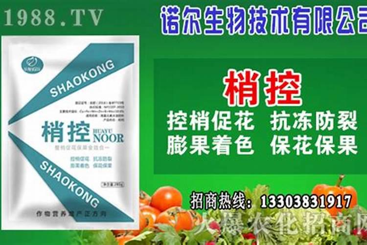 含锌高的食物有那些