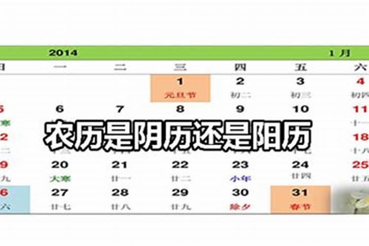 茶树施肥的最佳季节