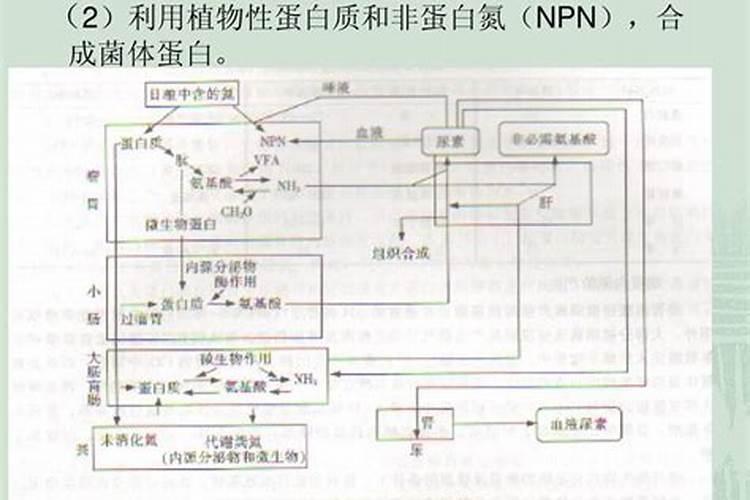 赞玛水溶肥效果好不好？