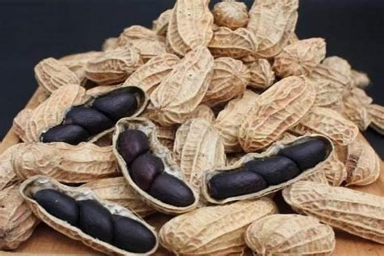瓜子皮合花生皮可以做花的肥料吗？