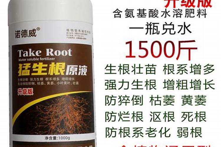 促进花发芽用什么肥