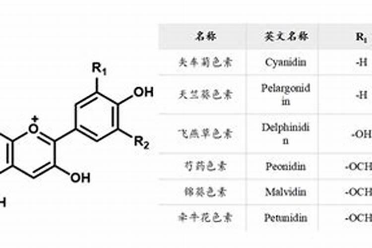 水溶肥如何使用效果好？