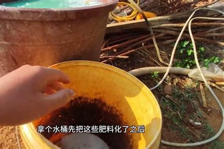 红薯专用肥？
