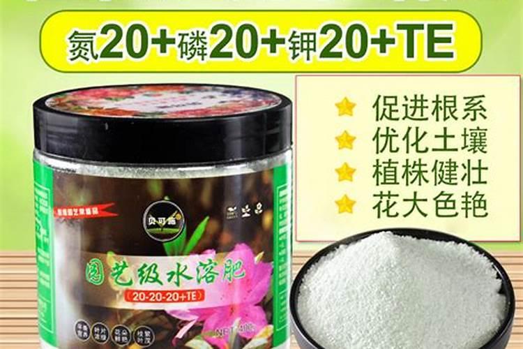 兰花肥料用什么好,叶面肥施什么好