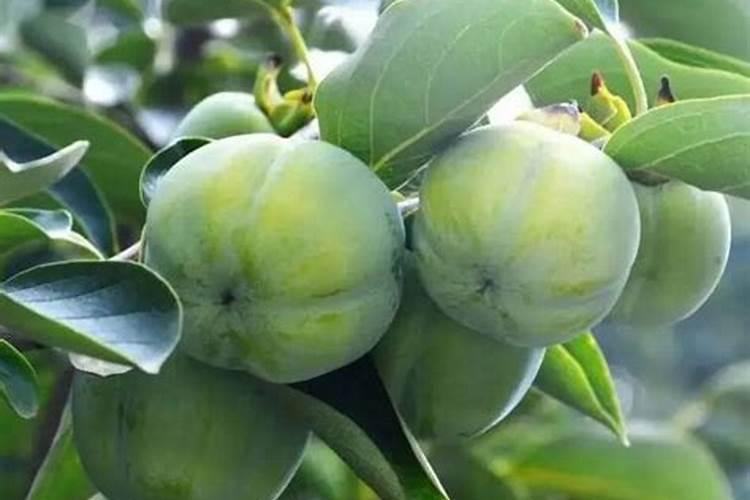 蛋白质为什么含硫、镁？什么作用？存在于那些氨基酸？
