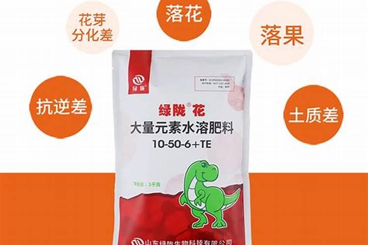 兰花生长期如何促进它花芽分化