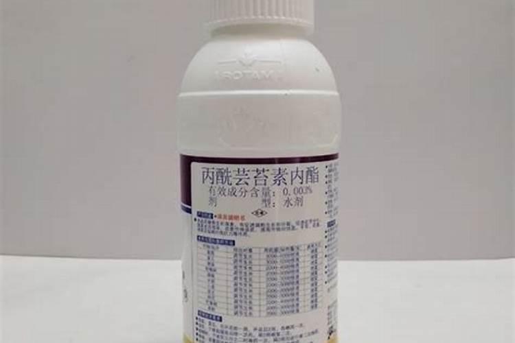 番茄膨果期用什么肥料好