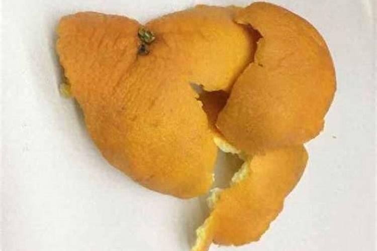 桔子皮能放花盆里做肥料吗
