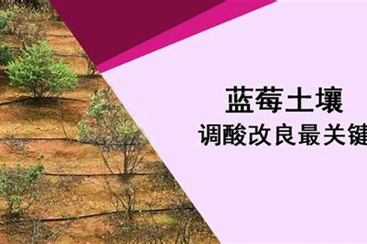 酸性土壤改良方法用什么肥 土壤酸性过高怎么施肥改良