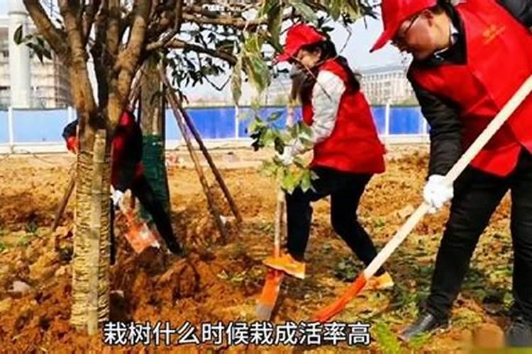 果树什么时候施秋肥最好