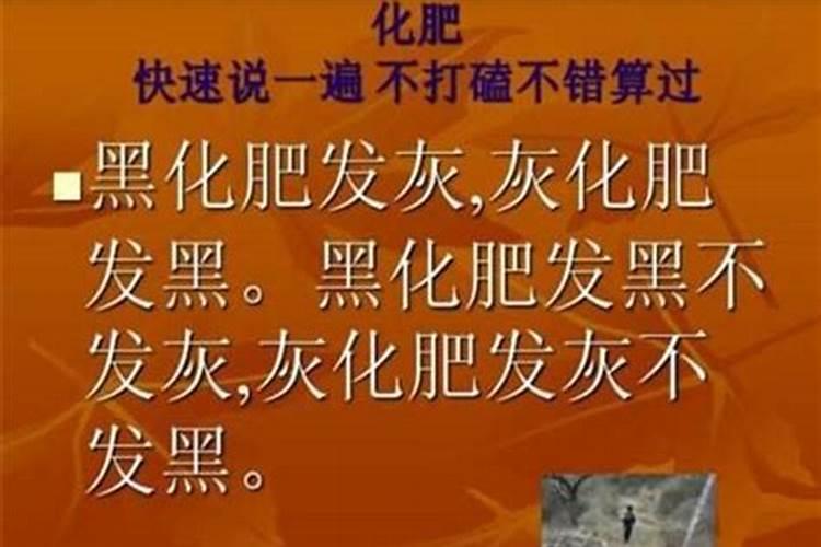 为什么红掌不能养一盆
