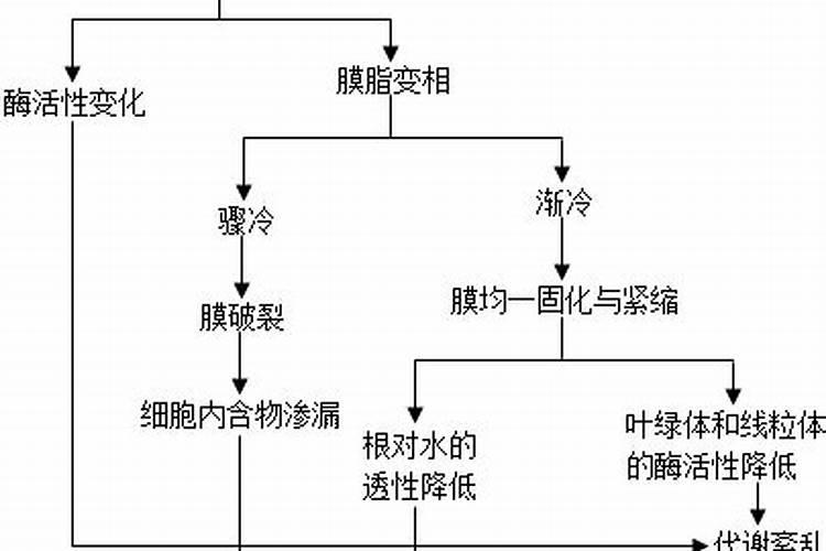 耐冬施什么肥最好